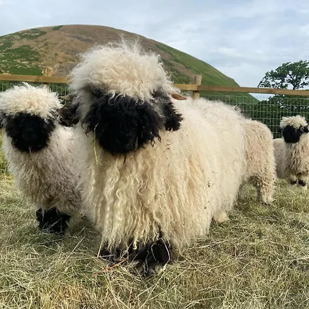 Mount Nestled In The Hills Of The District And Yorkshire Dales 펜션 Low Borrowbridge