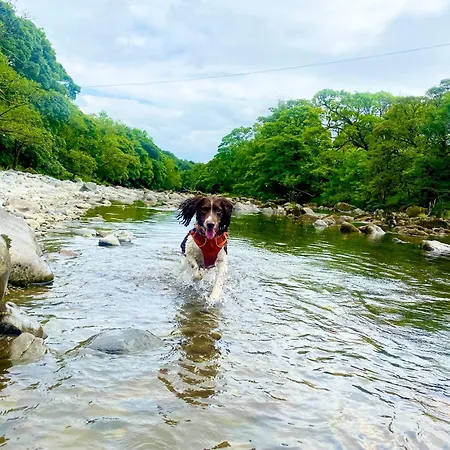 Mount Nestled In The Hills Of The District And Yorkshire Dales 펜션 Low Borrowbridge