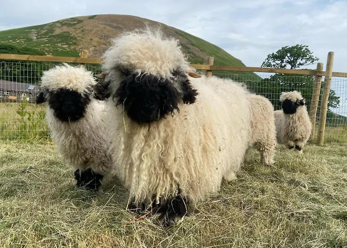 Mount Nestled In The Hills Of The District And Yorkshire Dales Nyaraló Low Borrowbridge