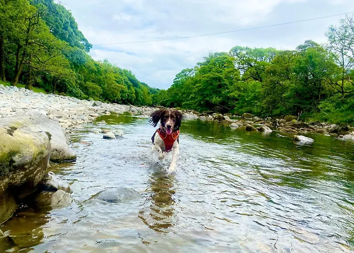 Mount Nestled In The Hills Of The District And Yorkshire Dales Nyaraló Low Borrowbridge
